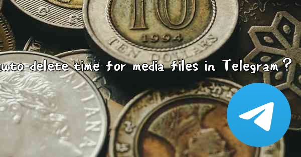 How to set the auto-delete time for media files in Telegram？