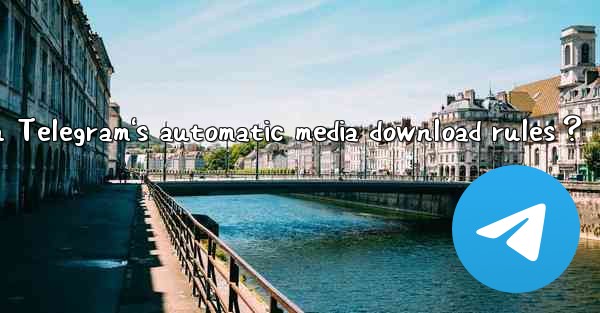 How to configure the “Advanced“ options in Telegram's automatic media download rules？