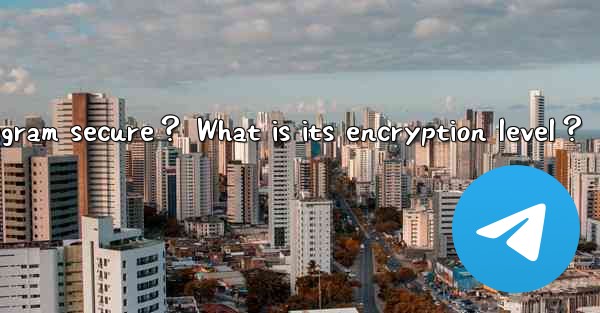 Is Telegram secure？ What is its encryption level？